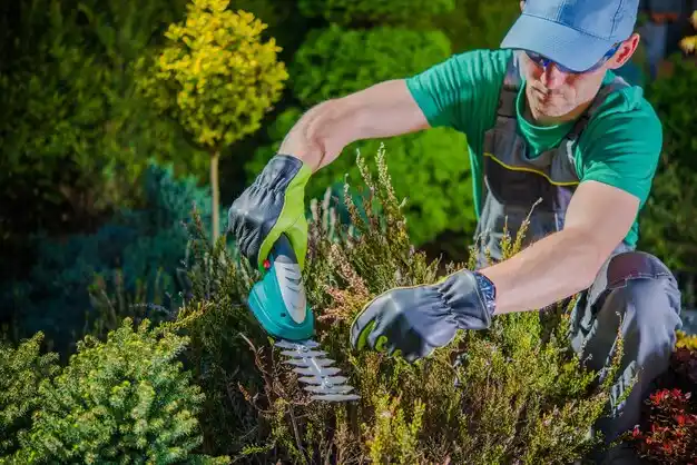 landscaping services Elliott